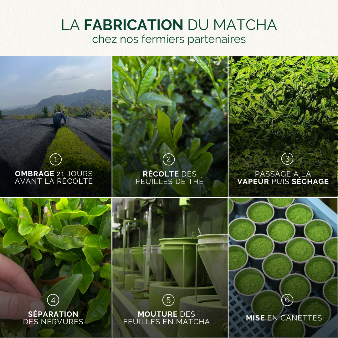 THÉ MATCHA CLASSIQUE